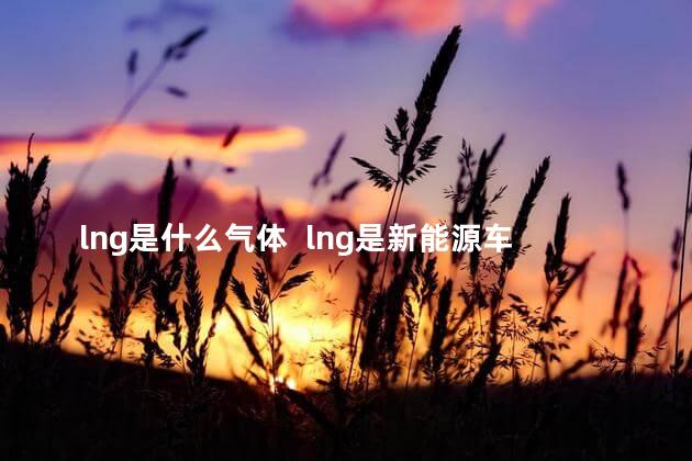 lng是什么气体  lng是新能源车吗